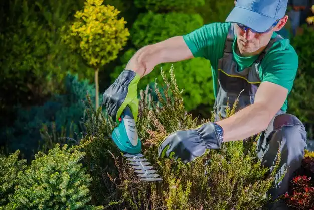 landscaping services Lucedale